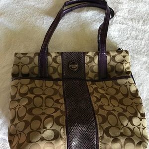 Coach Stripe Python Tote